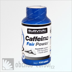 Caffeine Fair Power 120 tbl