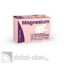 Rosen Magnezium 300 mg 20 ks perliv pastilky